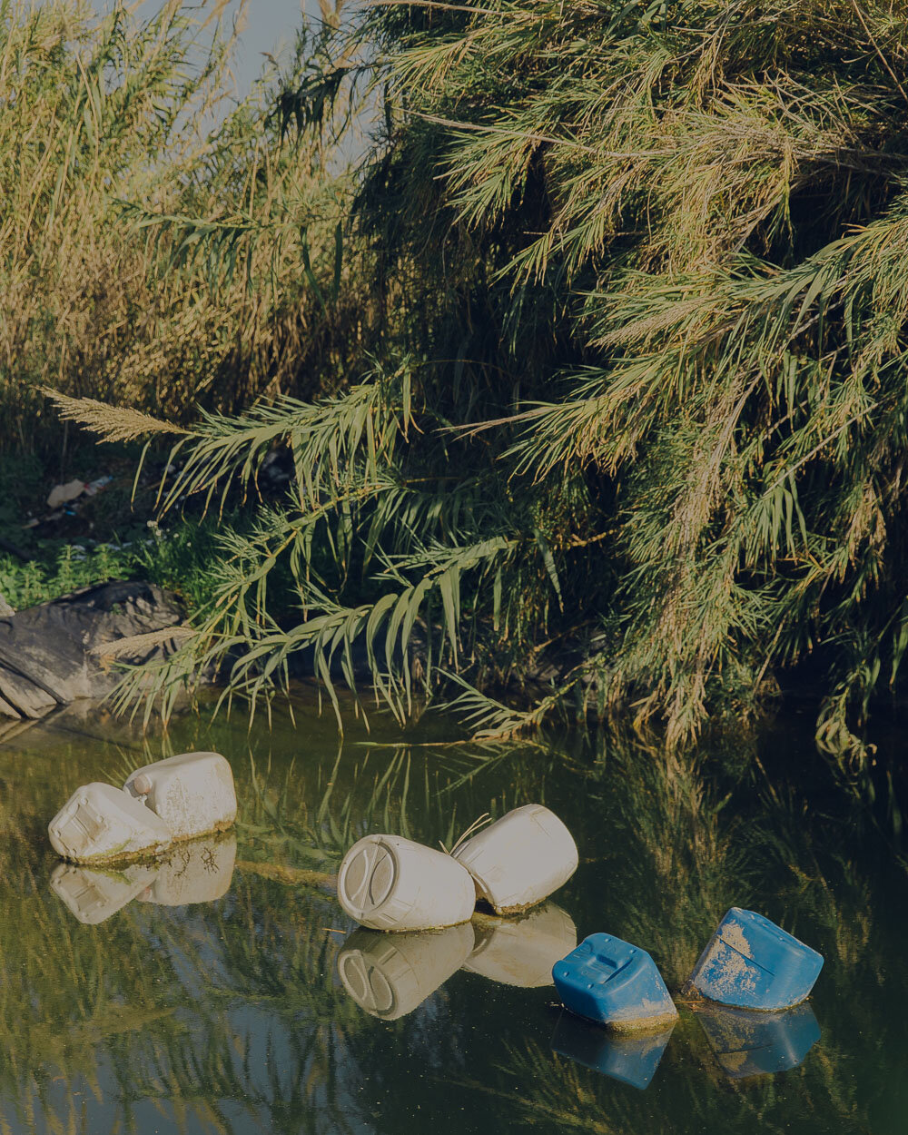 Cholera, Libanon Cholera, Libanon