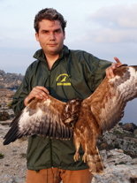cms-image-000042937.jpg cms-image-000042937.jpg (Foto: Komitee gegen den Vogelmord)
