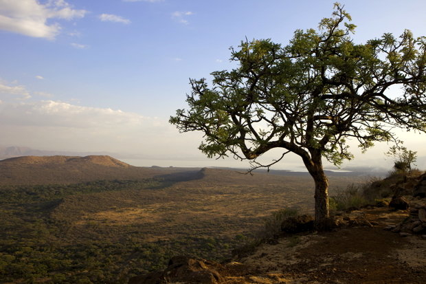 Direkt neben Arba Minch gelegen: Der Nechisar-Nationalpark (Foto: Robert Harding/Simon Montgomery/picture alliance)