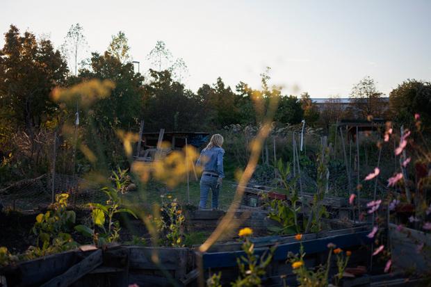 Ich möchte Teil einer Blumenbewegung sein: Den Großstadtgärtnern geht es ums Gemeinschaftserlebnis (Foto: Verena Kathrein)