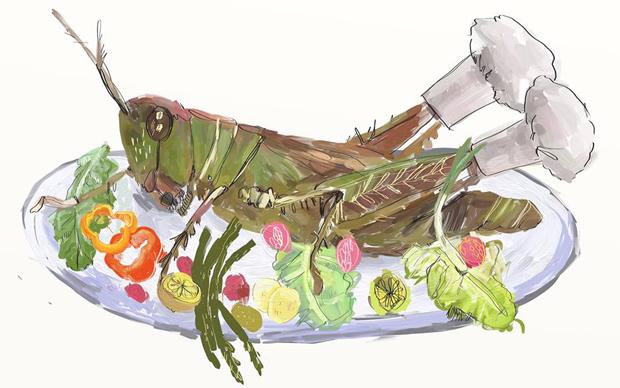 cms-image-000047959.jpg cms-image-000047959.jpg (Illustration: Héctor Jiménez)