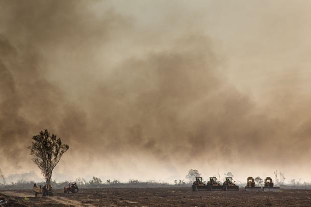 Nach der Brandrodung in einem ehemaligen Waldgebiet im äthiopischen Gambetta ist die Bahn frei für Bulldozer, die den Boden bereiten für den Anbau von Zuckerrohr und Palmöl (Foto: alfredobini\cosmos)