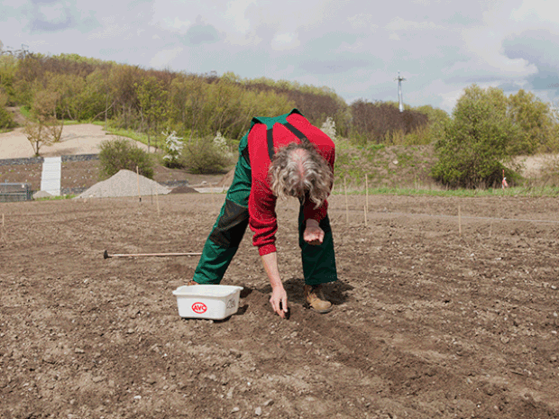 „Der Weltacker soll uns vor Augen führen, dass genug für alle da ist.“ Bis dahin muss aber noch ziemlich geackert werden (Foto: Leon Reindl)