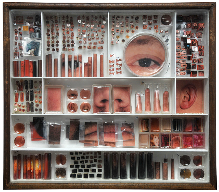 Gesichtscollage (Bild: Michael Mapes)