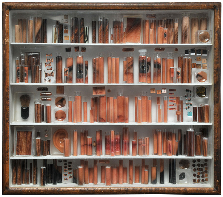 Gesichtscollage (Bild: Michael Mapes)