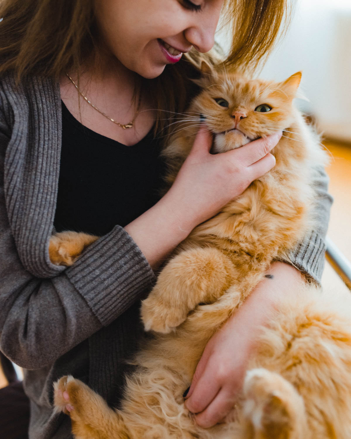 Die Syrerin Lama hält Kater Lino auf dem Arm (Foto: Christian Protte)