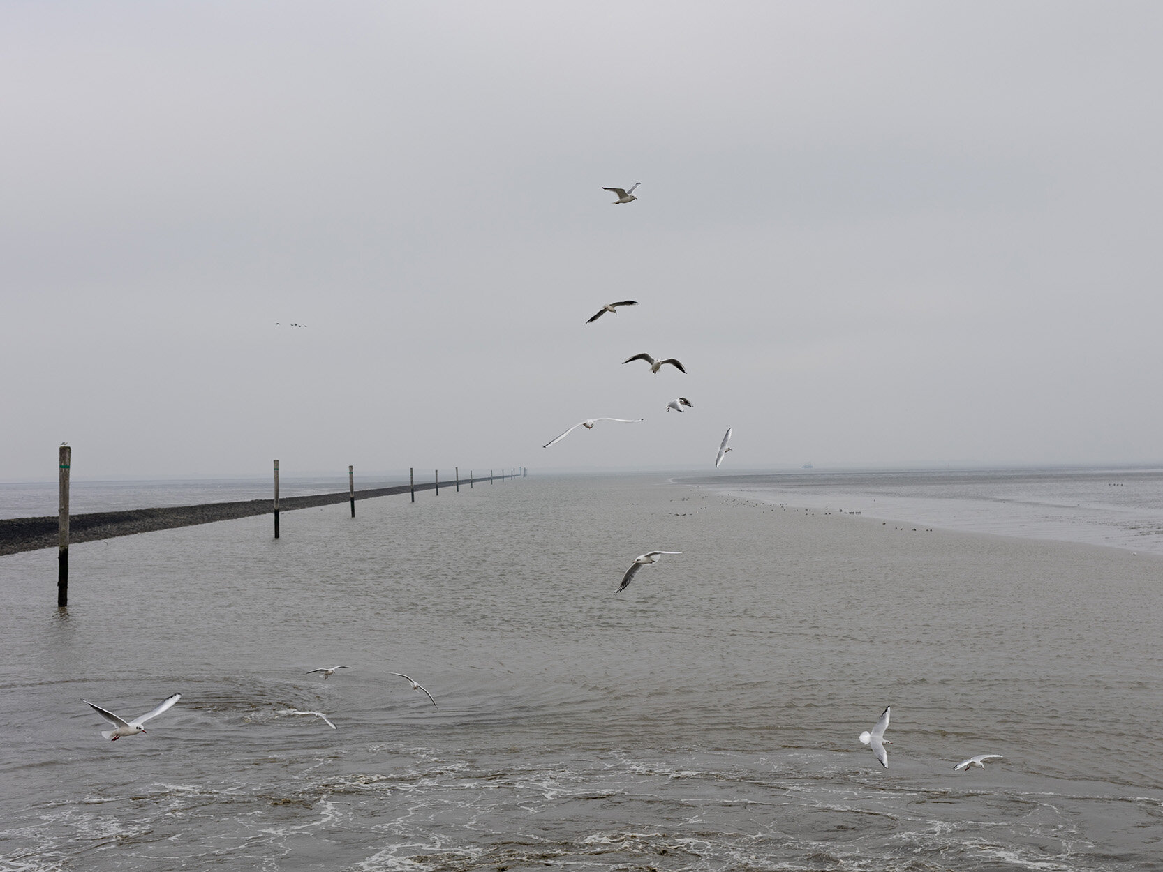 Meer Meer