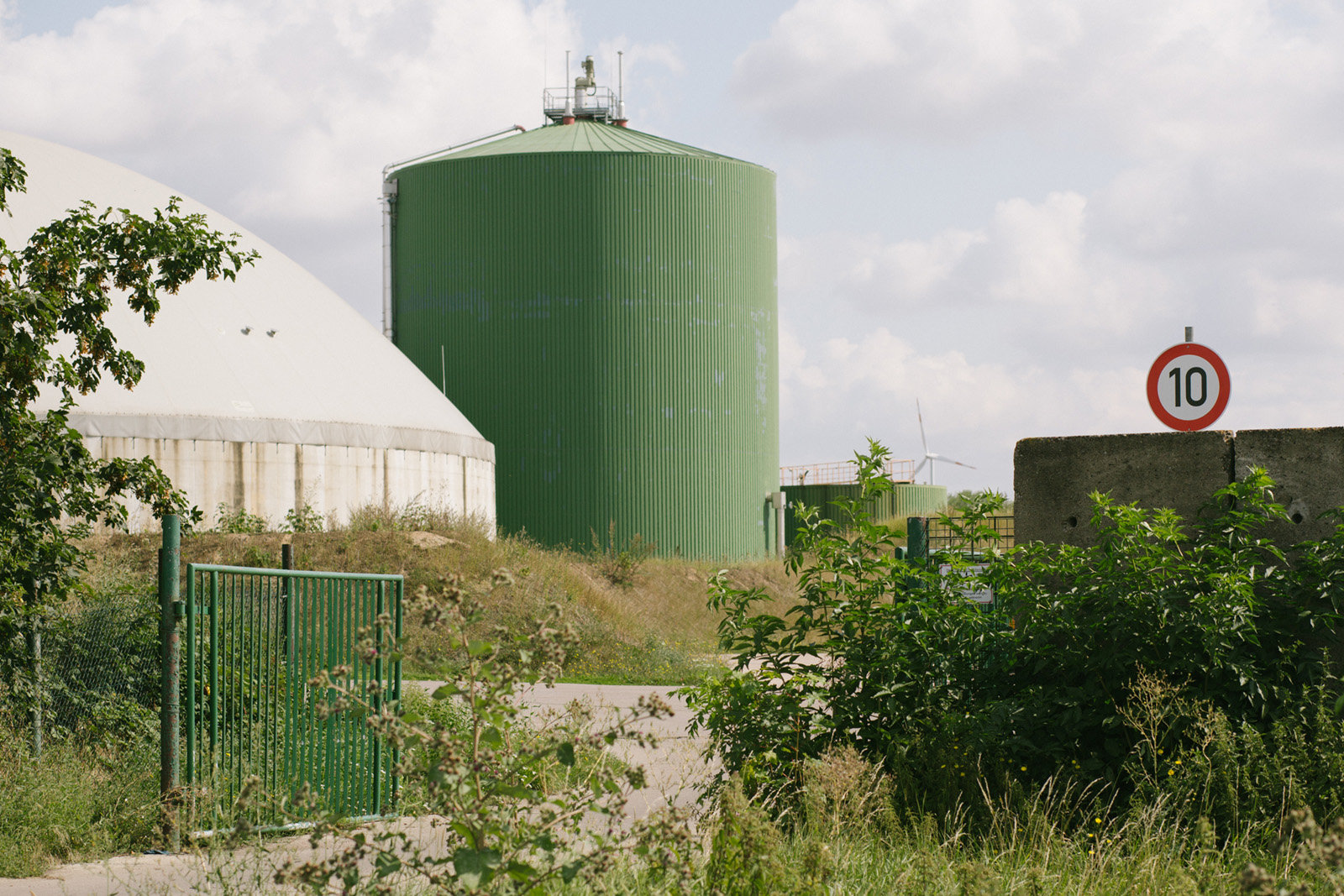 Schweinezucht in Neumark, Thüringen