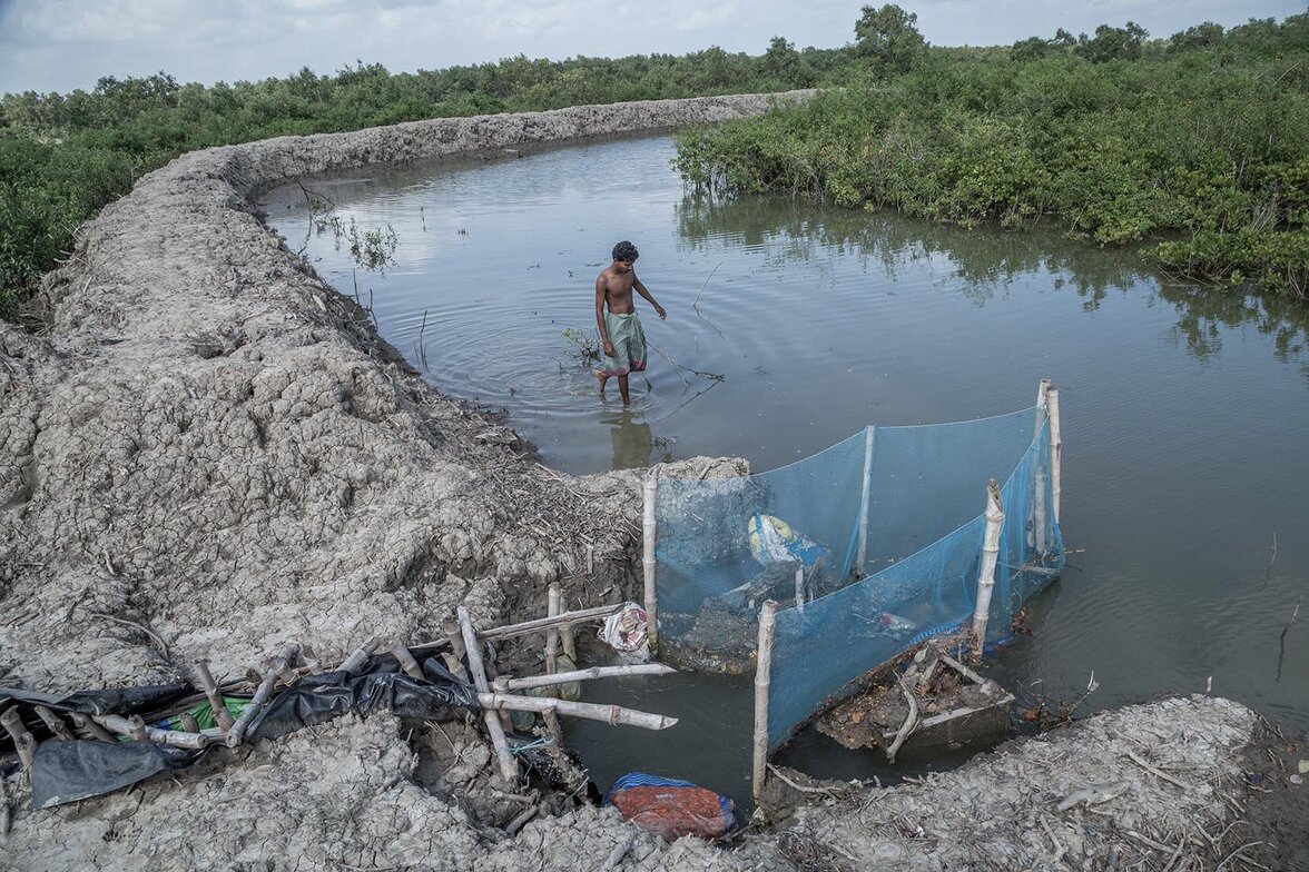 Geschäftsleute haben illegal Flussdämme für die Garnelenzucht errichtet
