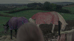 Louise Moorhead leitet Therapie mit Pferden für Teenager auf einem Reiterhof bei Derry