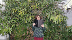 Ein junger Mann steht vor einem Bambusbusch und liest in seinem Laptop
