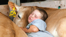 Junge und Kuh schlafen