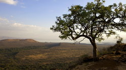 Direkt neben Arba Minch gelegen: Der Nechisar-Nationalpark