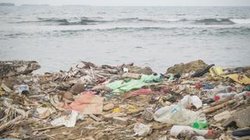 E-kel-haft! Müll an der Karibikküste Panamas