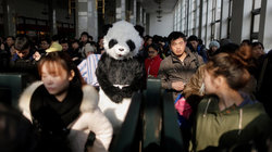 Mann in Pandakostüm sitz in Bahnhof