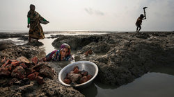  Auf der Suche nach Ziegeln an der überfluteten Küste Bangladeschs (Foto: Andrea Frazzetta/Institute/The New York Times)