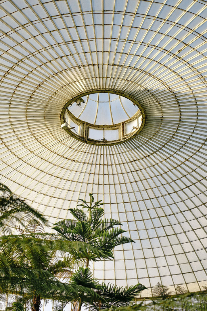 Botanischer Garten Botanischer Garten