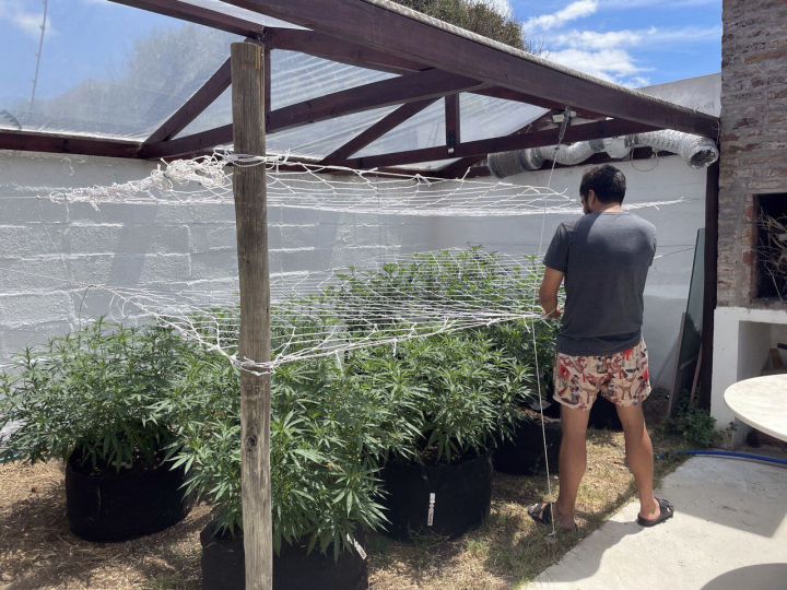 Club Cannabico Club Cannabico