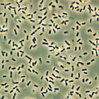 cms-image-000018872.jpg