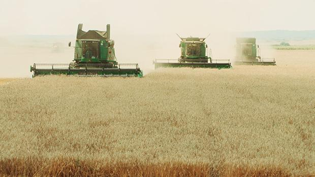 Am meisten lohnt sich Landwirtschaft heute, wenn man sie im ganz großen Stil betreibt – so wie hier in Rumänien Am meisten lohnt sich Landwirtschaft heute, wenn man sie im ganz großen Stil betreibt – so wie hier in Rumänien