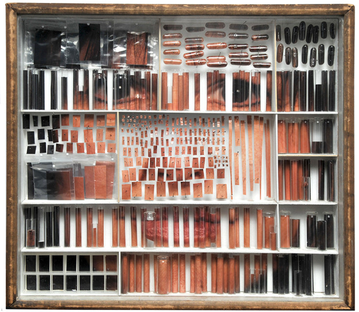 Gesichtscollage