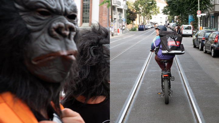 Gorillas Gorillas