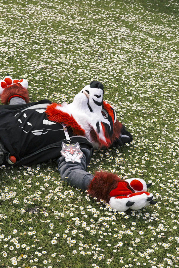 Furries Furries