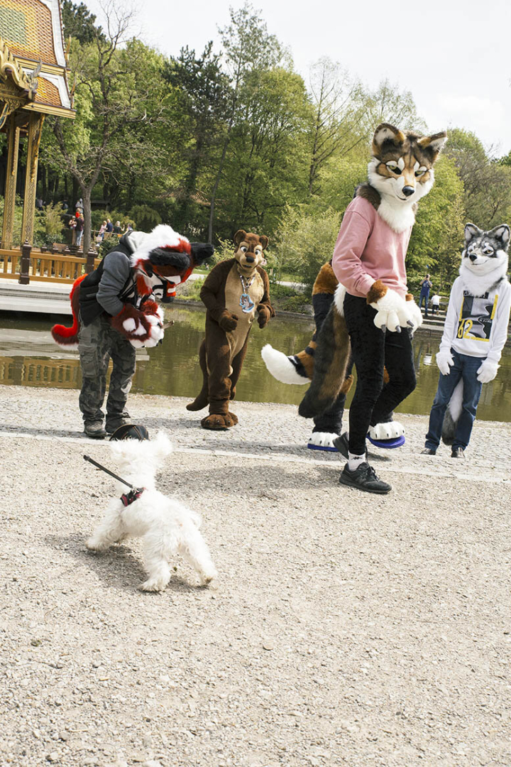 Furries Furries