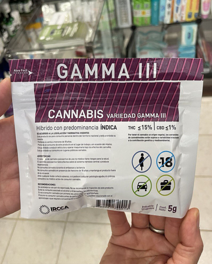 Gamma 3 Gamma 3