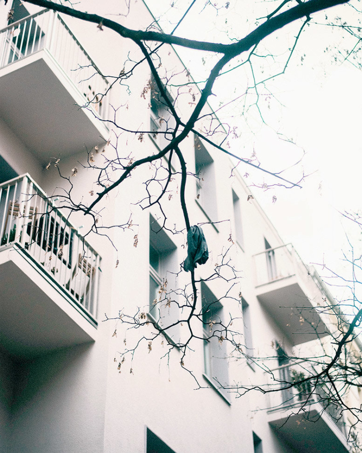Haus im Prenzlauer Berg Haus im Prenzlauer Berg