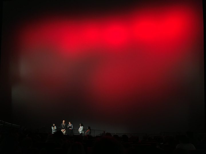 Leinwand des IMAX (Foto: Michael Brake) Leinwand des IMAX (Foto: Michael Brake)