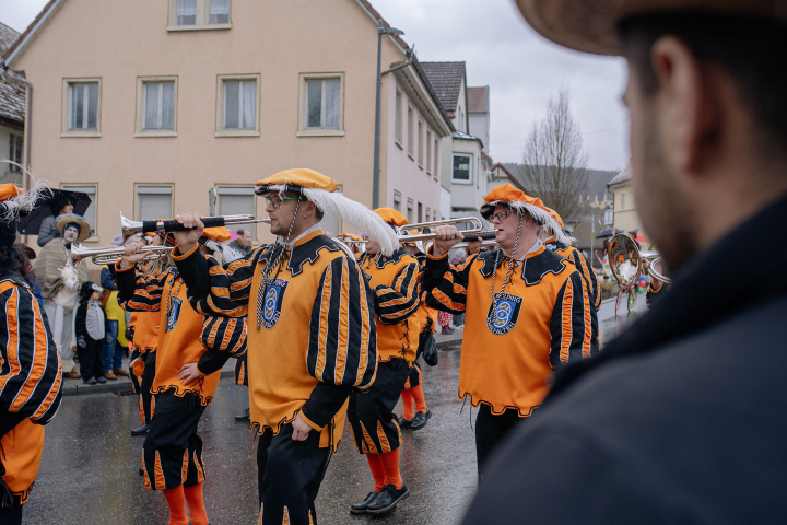 Karnevalsumzug Karnevalsumzug