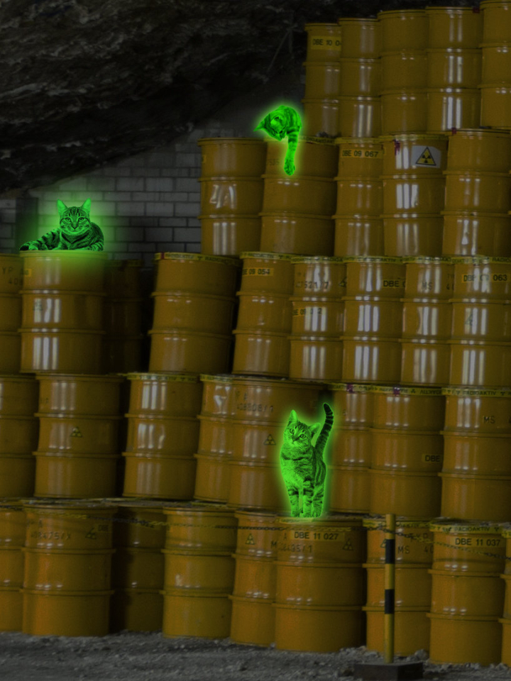 Leuchtende Katzen in Atomlager