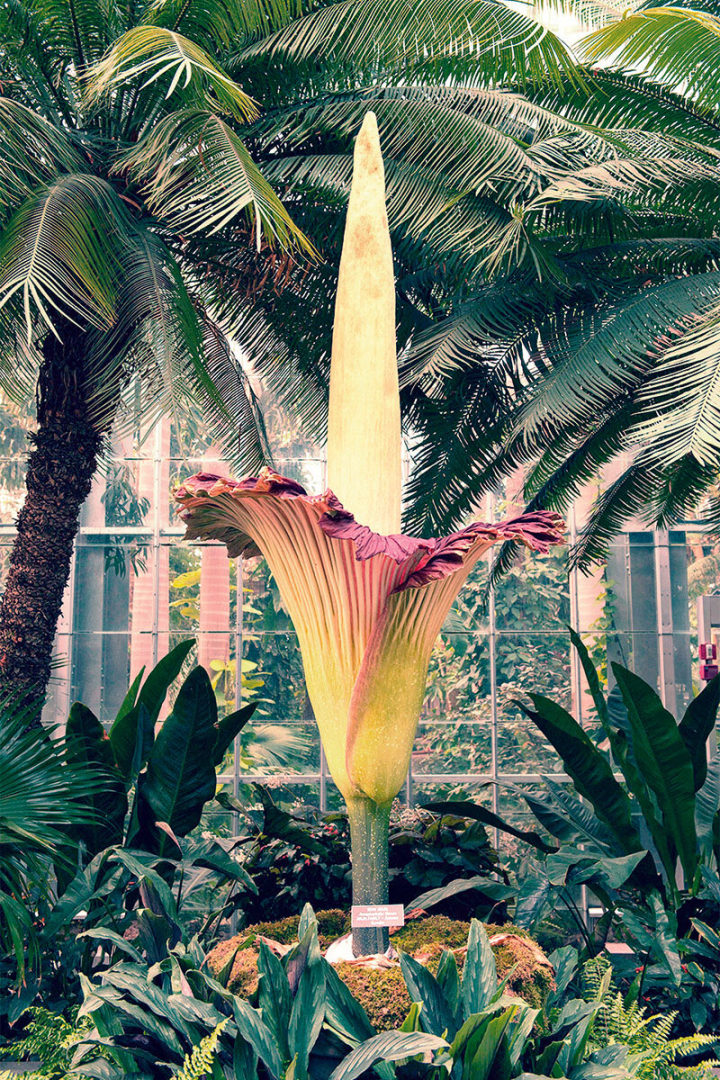 Botanischer Garten Botanischer Garten