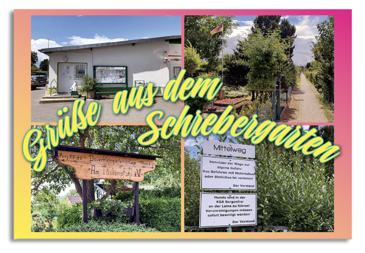 Schrebergarten Schrebergarten