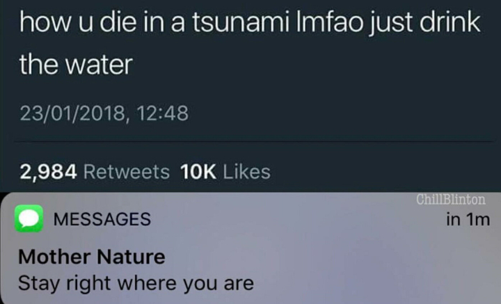 Tsunami, Meme Tsunami, Meme