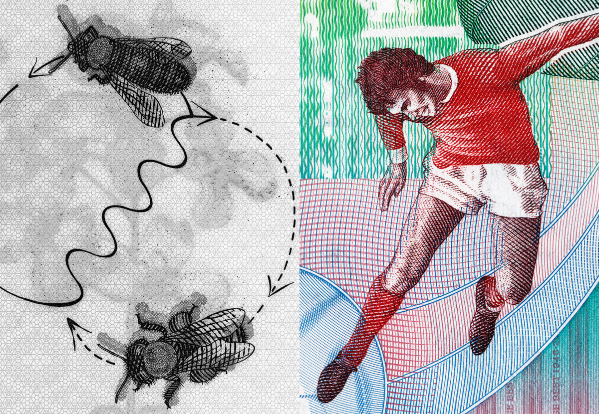 Banknotenmotive aus Polen und Irland Illustration von tanzenden Bienen und einem Fußballer