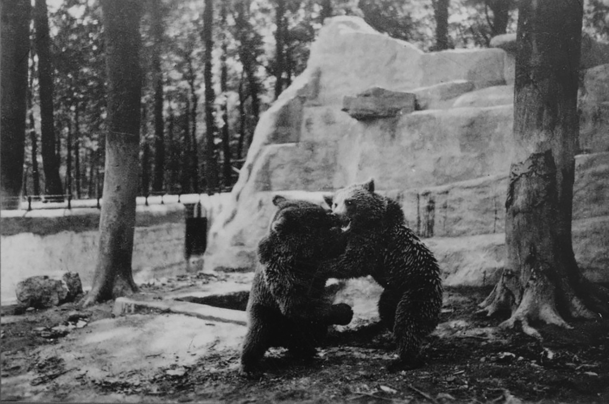 Zoo im KZ Buchenwald Zoo im KZ Buchenwald