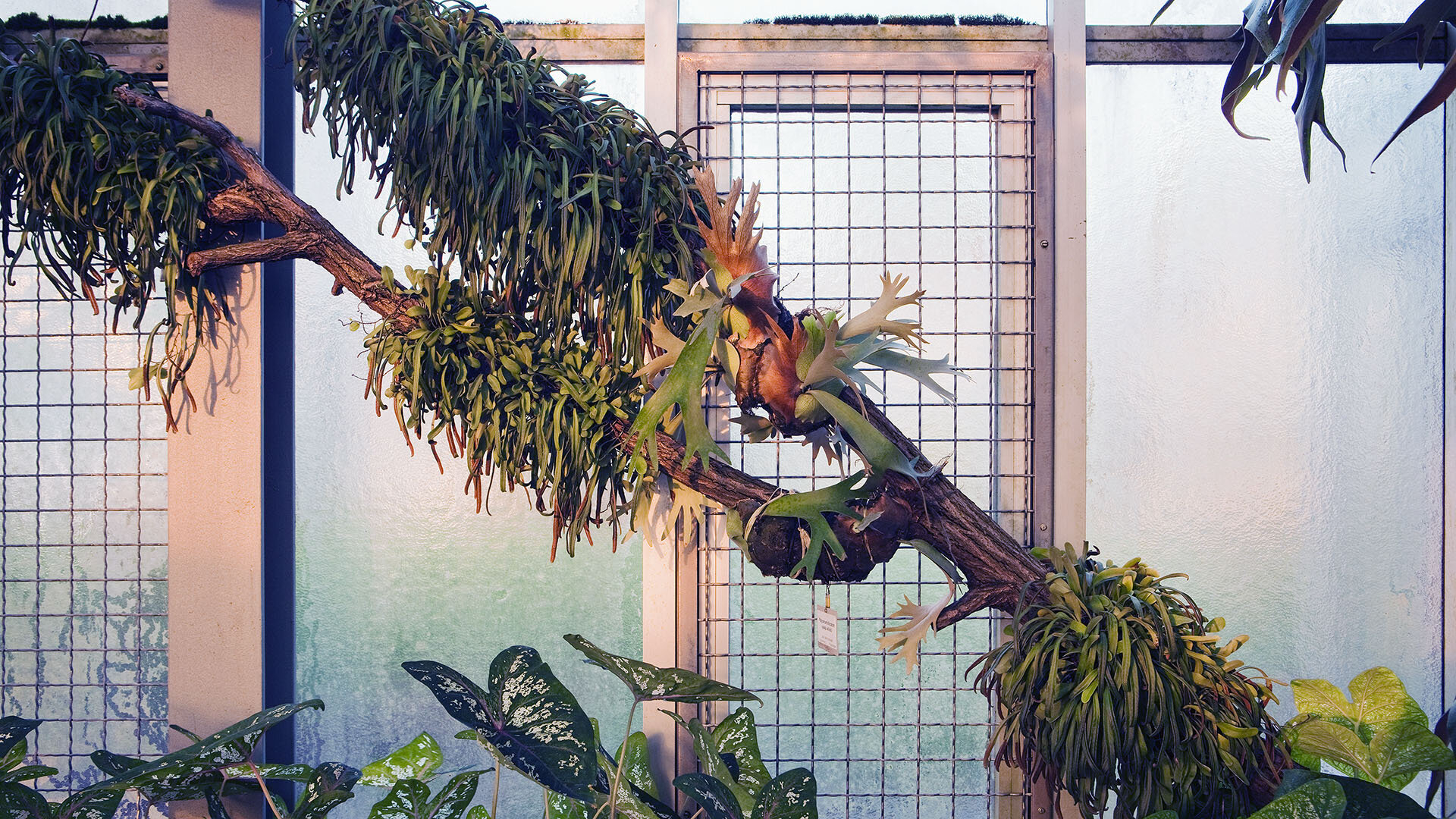 Botanischer Garten Botanischer Garten