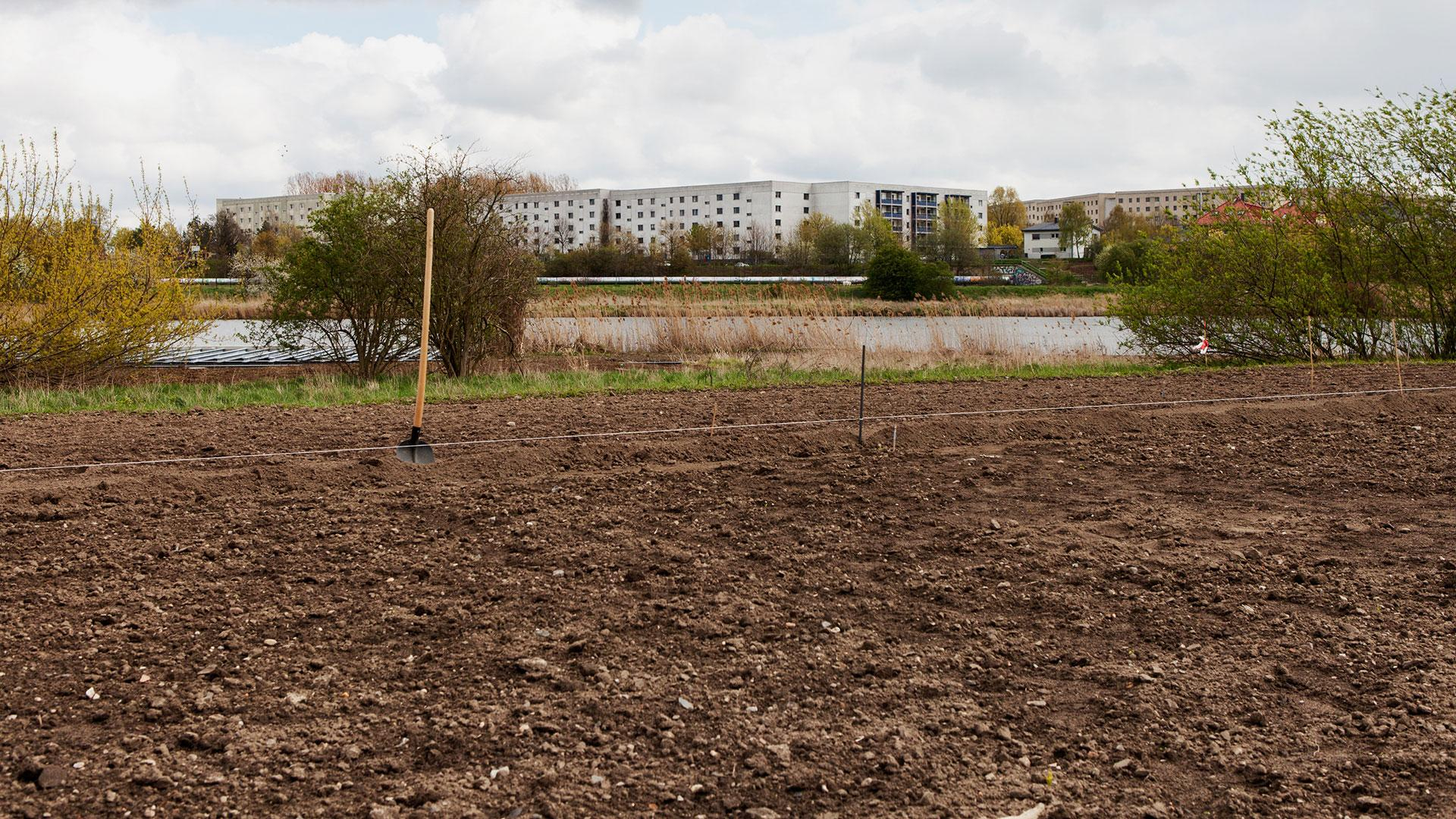 Das Projekt „Weltacker“ auf der Internationalen Gartenausstellung in Berlin Das Projekt „Weltacker“ auf der Internationalen Gartenausstellung in Berlin