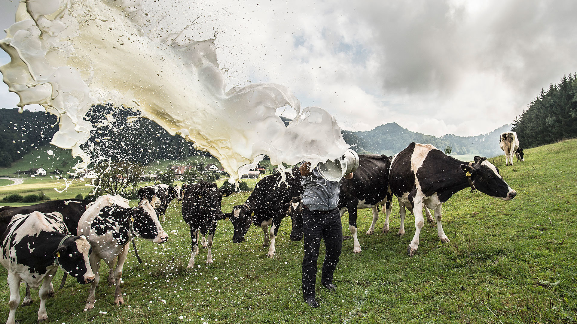 Landwirt auf Kuhweide verschüttet Milch Landwirt auf Kuhweide verschüttet Milch