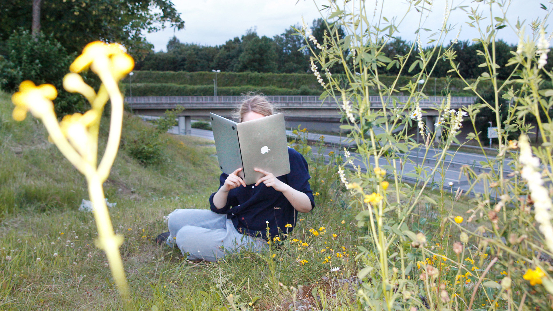 EIne Frau sitzt auf einer Wiese und liest auf dem Laptop wie in einem aufgeklappten Buch EIne Frau sitzt auf einer Wiese und liest auf dem Laptop wie in einem aufgeklappten Buch