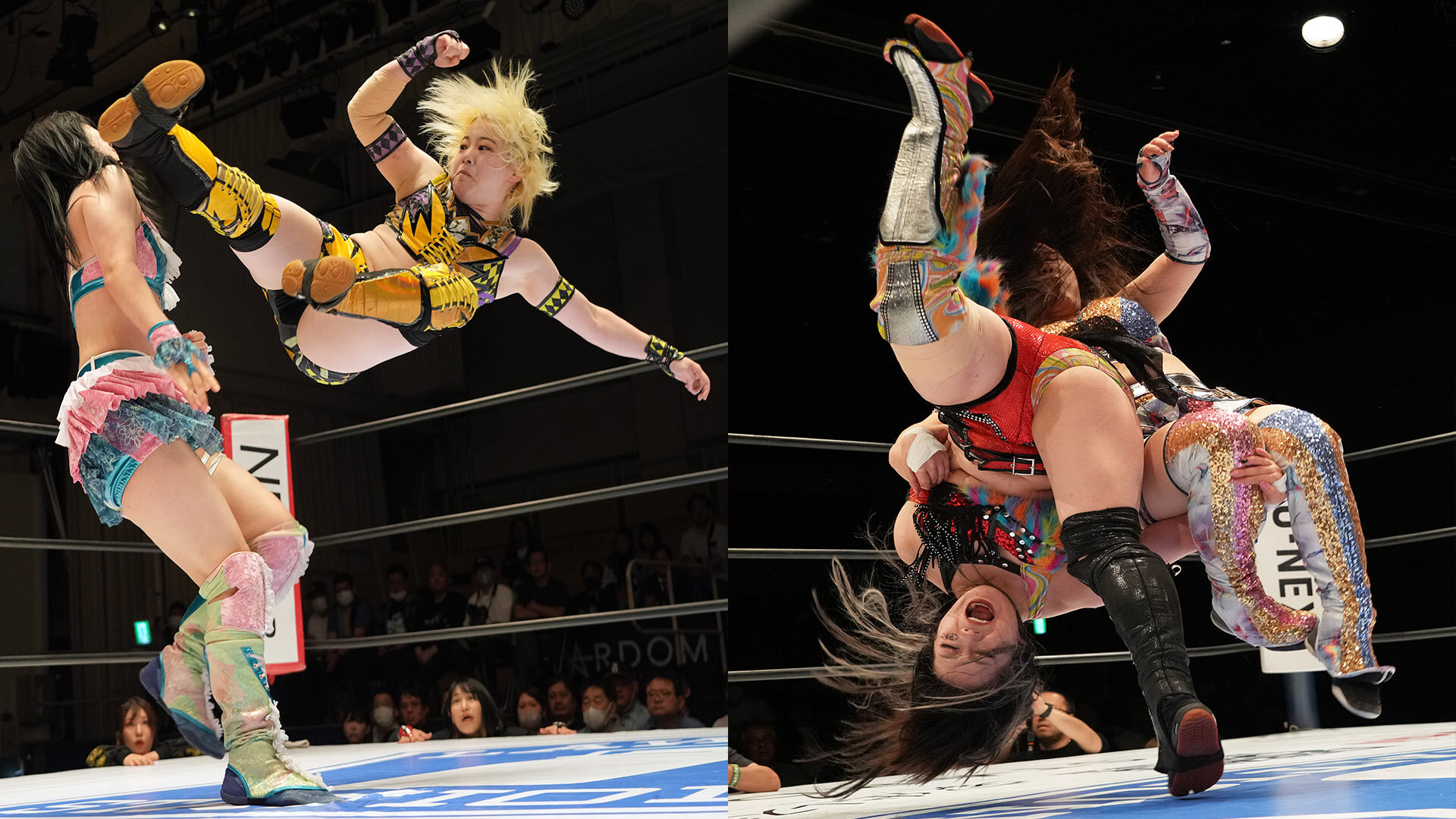 Puroresu Puroresu