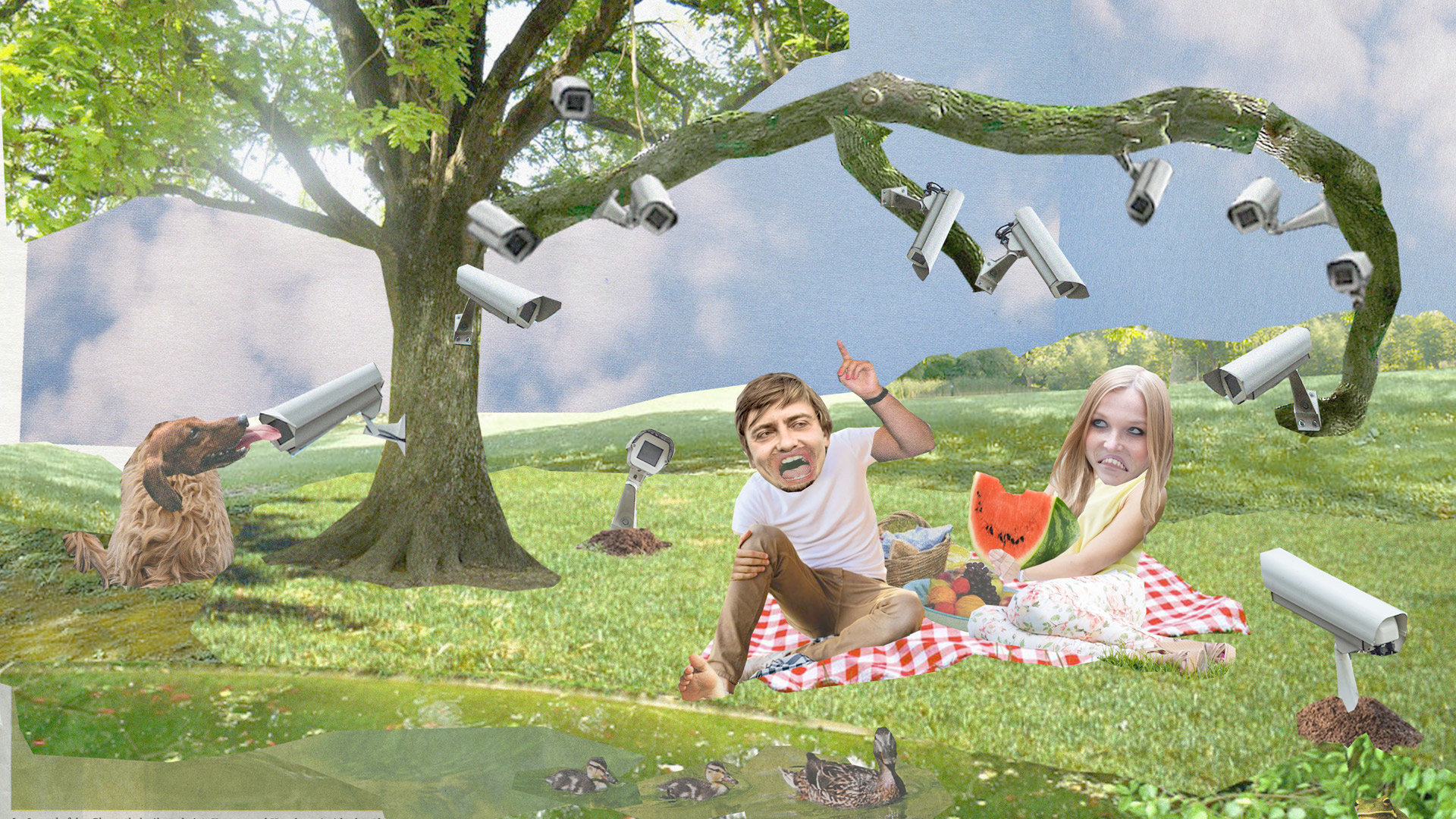 Die Autoren streiten beim Picknick und werden dabei von Überwachungskameras beobachtet Die Autoren streiten beim Picknick und werden dabei von Überwachungskameras beobachtet