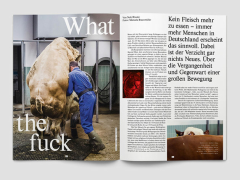 fluter Geschichte des Vegetarismus