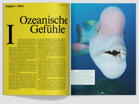 fluter Was ist das Meer?