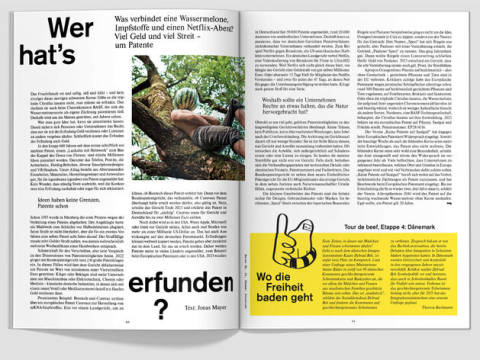 fluter 91 "Streiten", Artikel "Wer hat's erfunden"