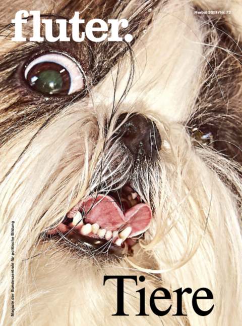 Cover fluter Nr. 72 Tiere