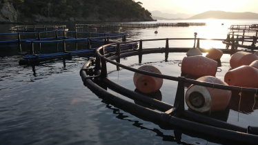 Aquafarm Aquafarm