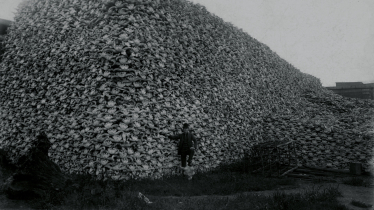 Foto: Burton Historical Collection/Detroit Public Library